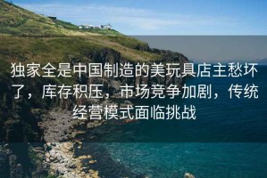 獨(dú)家全是中國(guó)制造的美玩具店主愁壞了，庫(kù)存積壓，市場(chǎng)競(jìng)爭(zhēng)加劇，傳統(tǒng)經(jīng)營(yíng)模式面臨挑戰(zhàn)