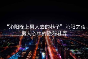 “沁陽晚上男人去的巷子”沁陽之夜，男人心中的隱秘巷弄