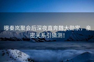 曝秦嵐聚會(huì)后深夜直奔魏大勛家，親密關(guān)系引猜測(cè)！