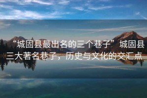 “城固縣最出名的三個(gè)巷子”城固縣三大著名巷子，歷史與文化的交匯點(diǎn)