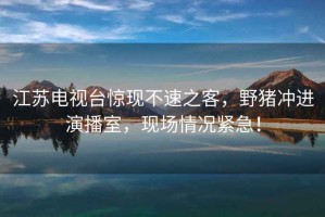 江蘇電視臺(tái)驚現(xiàn)不速之客，野豬沖進(jìn)演播室，現(xiàn)場(chǎng)情況緊急！