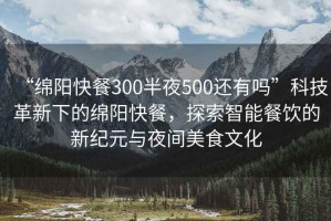 “綿陽(yáng)快餐300半夜500還有嗎”科技革新下的綿陽(yáng)快餐，探索智能餐飲的新紀(jì)元與夜間美食文化