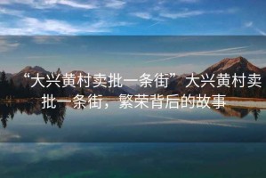 “大興黃村賣批一條街”大興黃村賣批一條街，繁榮背后的故事
