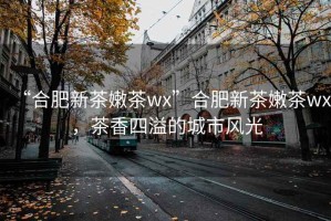 “合肥新茶嫩茶wx”合肥新茶嫩茶wx，茶香四溢的城市風(fēng)光