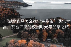 “湖北宜昌怎么找學(xué)生品茶”湖北宜昌，茶香四溢的校園時(shí)光與品茶之旅