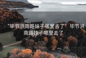 “畢節(jié)洪南路妹子哪里去了”畢節(jié)洪南路妹子哪里去了