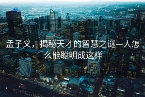 孟子義，揭秘天才的智慧之謎—人怎么能聰明成這樣