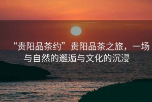 “貴陽(yáng)品茶約”貴陽(yáng)品茶之旅，一場(chǎng)與自然的邂逅與文化的沉浸