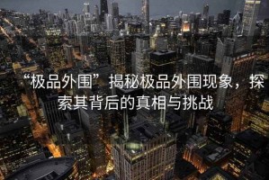 “極品外圍”揭秘極品外圍現(xiàn)象，探索其背后的真相與挑戰(zhàn)