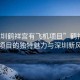 “深圳鶴祥宮有飛機(jī)項目”鶴祥宮飛機(jī)項目的獨(dú)特魅力與深圳新風(fēng)貌