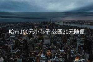哈市100元小巷子:公園20元隨便