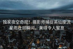 獨家夜空奇觀！攝影師捕捉英仙座流星雨壯麗瞬間，美得令人窒息