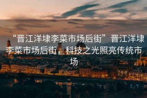 “晉江洋埭李菜市場后街”晉江洋埭李菜市場后街，科技之光照亮傳統(tǒng)市場