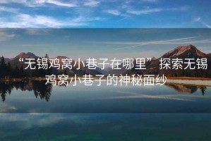 “無錫雞窩小巷子在哪里”探索無錫雞窩小巷子的神秘面紗