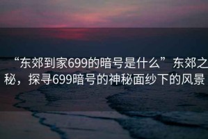 “東郊到家699的暗號是什么”東郊之秘，探尋699暗號的神秘面紗下的風(fēng)景