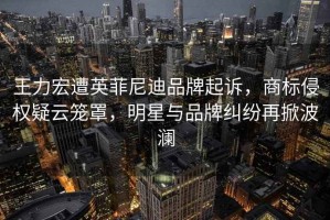 王力宏遭英菲尼迪品牌起訴，商標侵權疑云籠罩，明星與品牌糾紛再掀波瀾