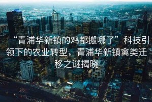 “青浦華新鎮(zhèn)的雞都搬哪了”科技引領(lǐng)下的農(nóng)業(yè)轉(zhuǎn)型，青浦華新鎮(zhèn)禽類遷移之謎揭曉