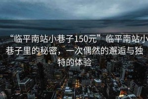 “臨平南站小巷子150元”臨平南站小巷子里的秘密，一次偶然的邂逅與獨(dú)特的體驗(yàn)