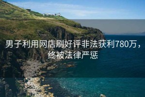 男子利用網(wǎng)店刷好評非法獲利780萬，終被法律嚴(yán)懲