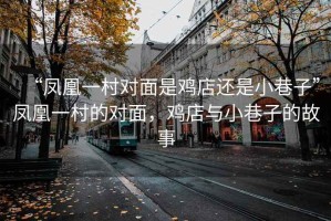 “鳳凰一村對面是雞店還是小巷子”鳳凰一村的對面，雞店與小巷子的故事
