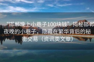 “邯鄲晚上小巷子100塊錢”揭秘邯鄲夜晚的小巷子，隱藏在繁華背后的秘密交易（資訊類文章）