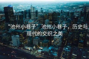 “池州小巷子”池州小巷子，歷史與現(xiàn)代的交織之美