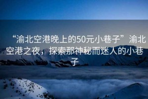 “渝北空港晚上的50元小巷子”渝北空港之夜，探索那神秘而迷人的小巷子