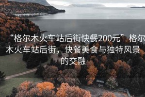 “格爾木火車站后街快餐200元”格爾木火車站后街，快餐美食與獨特風景的交融