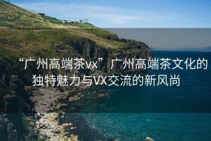 “廣州高端茶vx”廣州高端茶文化的獨(dú)特魅力與VX交流的新風(fēng)尚