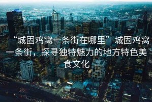 “城固雞窩一條街在哪里”城固雞窩一條街，探尋獨特魅力的地方特色美食文化