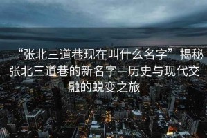 “張北三道巷現(xiàn)在叫什么名字”揭秘張北三道巷的新名字—?dú)v史與現(xiàn)代交融的蛻變之旅