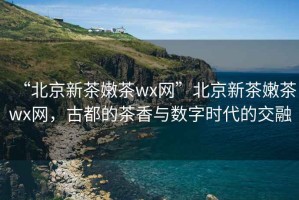 “北京新茶嫩茶wx網”北京新茶嫩茶wx網，古都的茶香與數字時代的交融