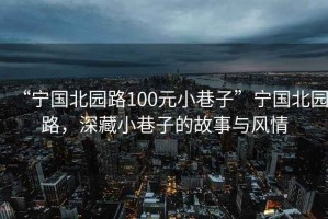 “寧國北園路100元小巷子”寧國北園路，深藏小巷子的故事與風(fēng)情