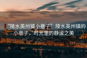 “陵水英州鎮(zhèn)小巷子”陵水英州鎮(zhèn)的小巷子，時光里的靜謐之美