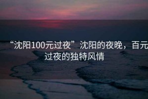 “沈陽100元過夜”沈陽的夜晚，百元過夜的獨(dú)特風(fēng)情
