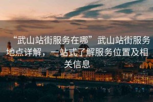 “武山站街服務(wù)在哪”武山站街服務(wù)地點(diǎn)詳解，一站式了解服務(wù)位置及相關(guān)信息