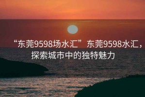 “東莞9598場(chǎng)水匯”東莞9598水匯，探索城市中的獨(dú)特魅力