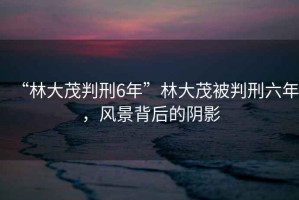 “林大茂判刑6年”林大茂被判刑六年，風(fēng)景背后的陰影