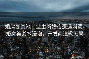 婚房變糞池，業(yè)主新婚夜遭遇崩潰，婚房被糞水浸泡，開發(fā)商道歉無果