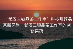 “武漢三鎮(zhèn)品茶工作室”科技引領(lǐng)品茶新風(fēng)尚，武漢三鎮(zhèn)品茶工作室的創(chuàng)新實踐