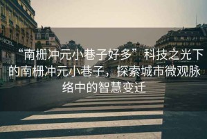 “南柵沖元小巷子好多”科技之光下的南柵沖元小巷子，探索城市微觀脈絡(luò)中的智慧變遷