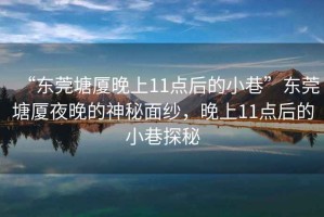 “東莞塘廈晚上11點(diǎn)后的小巷”東莞塘廈夜晚的神秘面紗，晚上11點(diǎn)后的小巷探秘