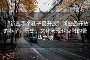 “新密哪個巷子最開放”新密最開放的巷子，歷史、文化與現(xiàn)代交融的繁華之地