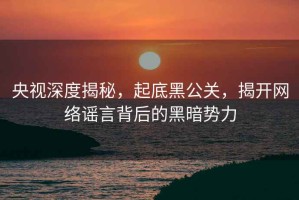 央視深度揭秘，起底黑公關(guān)，揭開網(wǎng)絡(luò)謠言背后的黑暗勢(shì)力