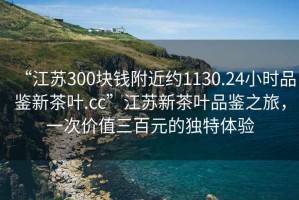 “江蘇300塊錢附近約1130.24小時(shí)品鑒新茶葉.cc”江蘇新茶葉品鑒之旅，一次價(jià)值三百元的獨(dú)特體驗(yàn)