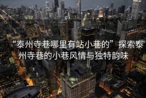 “泰州寺巷哪里有站小巷的”探索泰州寺巷的小巷風(fēng)情與獨特韻味
