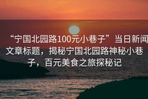 “寧國北園路100元小巷子”當日新聞文章標題，揭秘寧國北園路神秘小巷子，百元美食之旅探秘記
