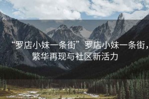 “羅店小妹一條街”羅店小妹一條街，繁華再現(xiàn)與社區(qū)新活力