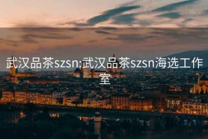 武漢品茶szsn:武漢品茶szsn海選工作室