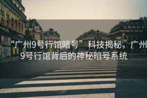 “廣州9號(hào)行館暗號(hào)”科技揭秘，廣州9號(hào)行館背后的神秘暗號(hào)系統(tǒng)